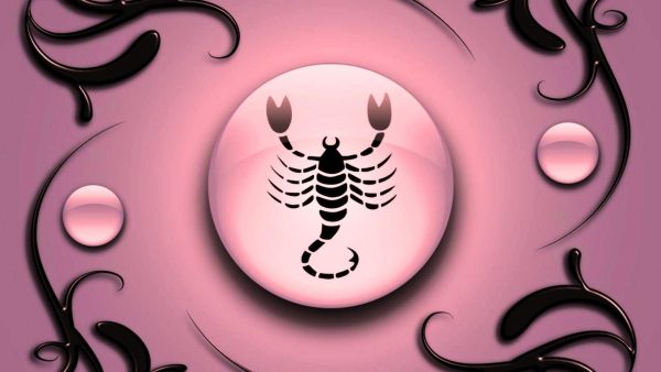 258 znak zodiaka skorpion