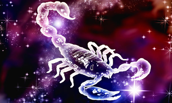 Картинки по запросу "скорпион знак зодиака"