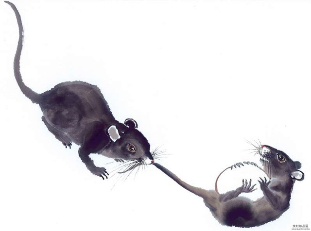 Картинки по запросу Как повлияет 2020 год Металлической Крысы на самые упёртые знаки Зодиака